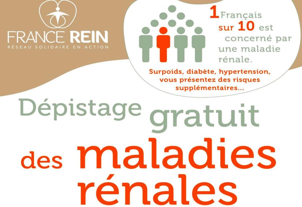Dépistage des maladies rénales